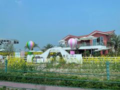 -桤木河湿地公园