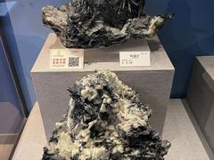 -贵州省地质博物馆