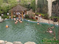-仁爱团泊湖温泉中心
