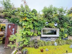 -龙大花卉苗木市场