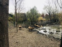 -溱湖国家湿地公园