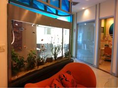 iphone_upload_pic-天使口腔门诊部(上海店)