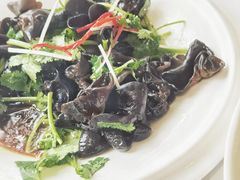 捞起天山木耳-东江渔村·古典园林·30年粤菜老字号(太和店)