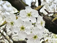 -江苏三台山国家森林公园