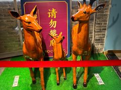 -重庆十八梯传统风貌区