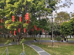 -华侨公园