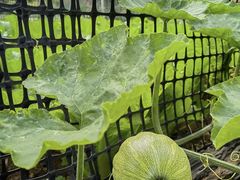 -于家石头村景区