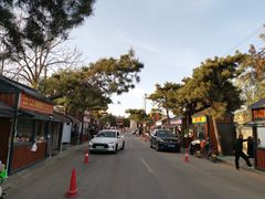 -洛阳古墓博物馆