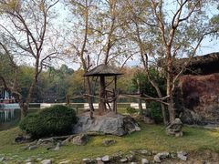 -清迈夜间动物园