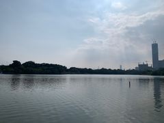 -华侨城湿地公园