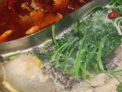 -辣伍鲜毛肚老火锅(元一店)