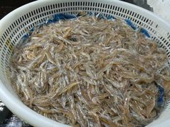 -北京清河镇农副产品交易市场中心