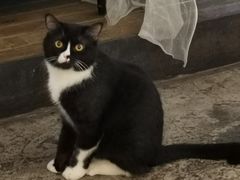 -么么咖啡(燕郊店)