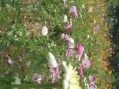 -沕沕水生态风景区