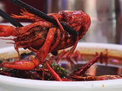 -老梅园大虾城(河西店)