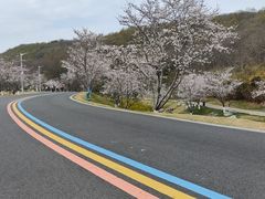 -羊山湖公园