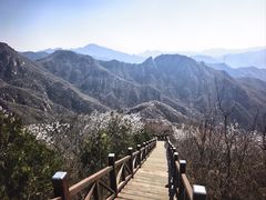 -大岭沟猕猴桃谷风景区
