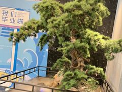 -龙船人海鲜城(长治路店)