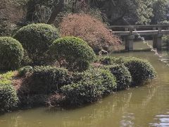 -秋霞圃