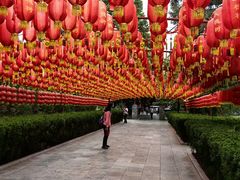 -大槐树寻根祭祖园