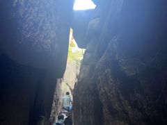 -鲁山国家森林公园