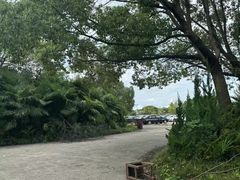 -胜华驾校·小猫学车(银都店)
