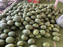 -庞各庄翠芳园西瓜蔬菜基地采摘园