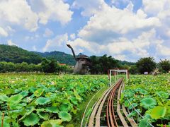 -红山村