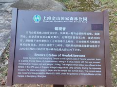 -上海佘山国家森林公园天马山园