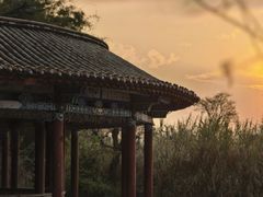 -庾园