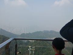 -大金鹰园