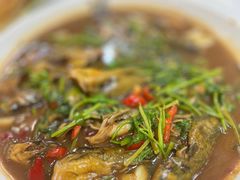 -杨辉饭店