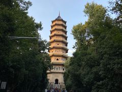 -灵谷景区