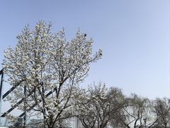 -上海月湖雕塑公园
