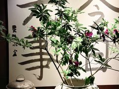 -素描餐厅(灵隐天竺店)
