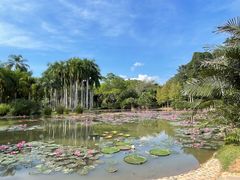 -中国科学院西双版纳热带植物园