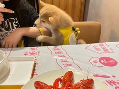 -靓靓蒸虾·头牌蒸虾(南山桂庙店)