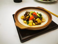 -五棵树•粤西高凉菜(琶洲店)