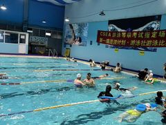 -小海豚国际游泳培训(长宁龙之梦酒店)