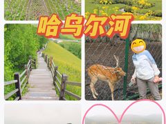 -哈乌尔河