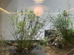 -CHIC1699远洋私厨