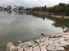 湖边-美兰湖景区