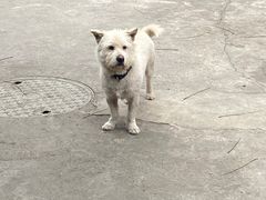 -半山•草庐玖厨(机场路店)