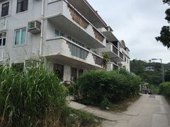 -南丫岛