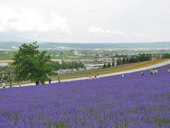 -富田农场