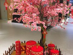 -红鼎豆捞·非遗鲍皇汤火锅(宝丰路店)