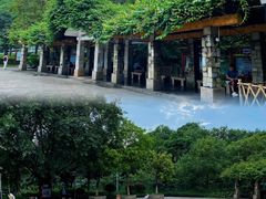 -火炉山森林公园