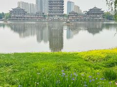 -眉山湿地公园(东坡区)
