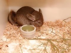 -龙猫仔乐园(惠福东路店)