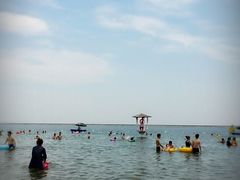 -碧海金沙